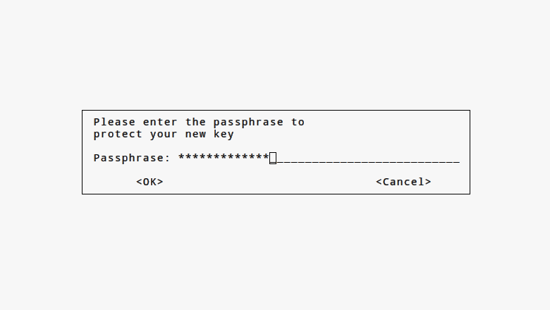 Step 2.A: Set your passphrase